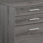 25" Gray Particle Board Filing Cabinet With Drawers