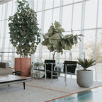 24" Silver Stainless Steel Arm Chair