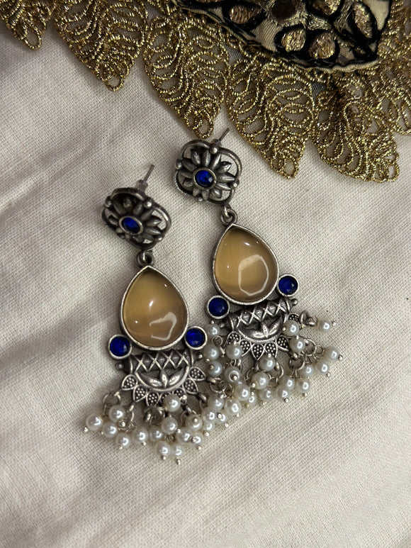 Gorgeous earrings embellished with blue and white stones