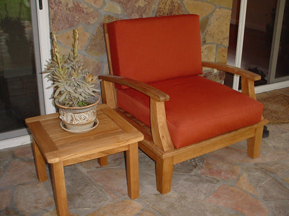 DS-101 general