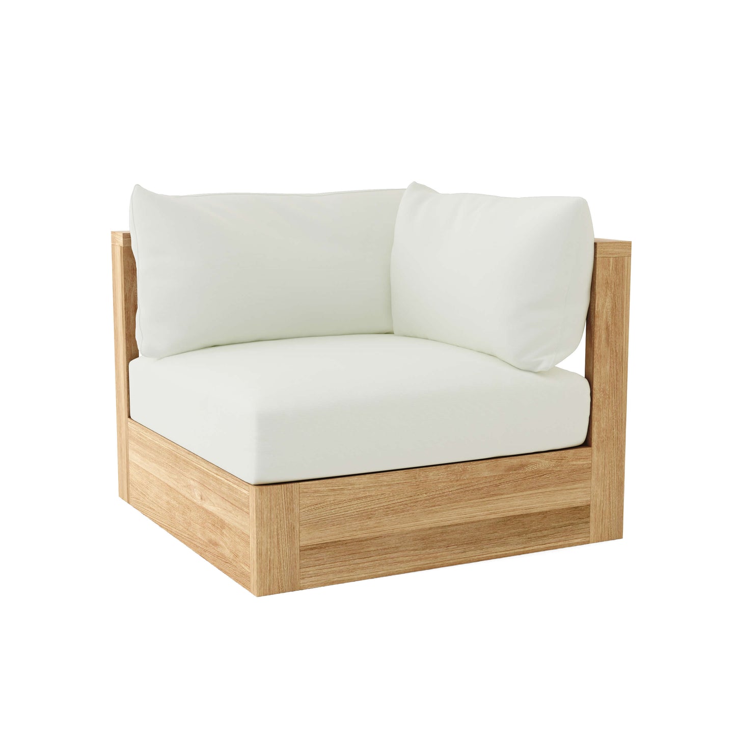 DS-203 Natural