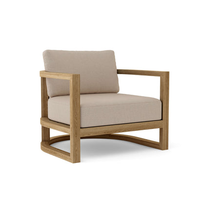 DS-221 Ash