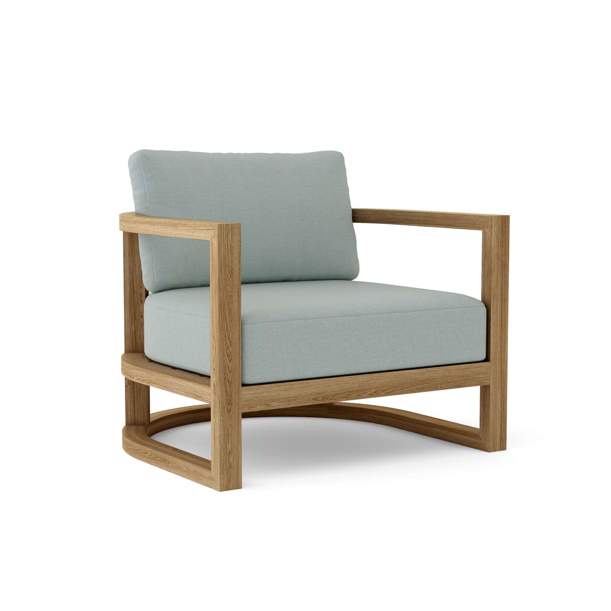 DS-221 Mist