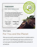 Modern Dining Table, 63" Large Kitchen Table for 4-6 People, Unique Rectangular Dinner Table Kitchen & Dining Room Furniture